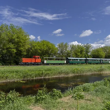 Beachfront Balatonmariafuerdo 19542 Σπίτι διακοπών *