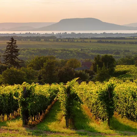 Beachfront Balatonmariafuerdo 19542