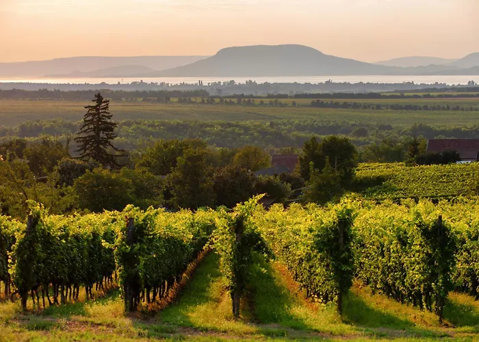 Beachfront Balatonmariafuerdo 19542